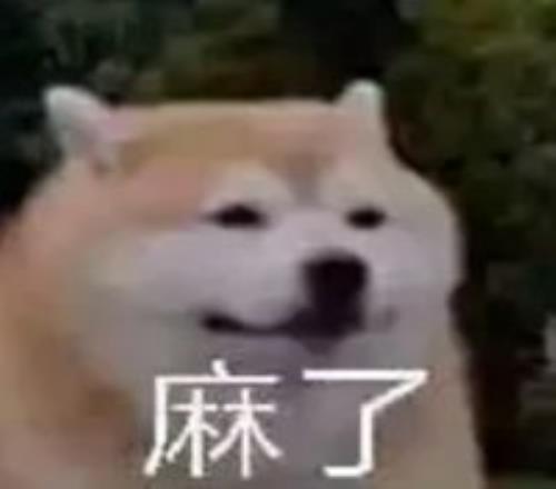 維納爾杜姆,全能足球巨,星深度剖析,大赢家体育首页,即时比分,比分直播,足球比分直播,大赢家官网