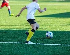 云南玉昆升,班马,年梦想成真,大赢家体育首页,即时比分,比分直播,足球比分直播,大赢家官网