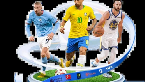 郑钦文赛季首冠指日可待！对手意外出局，夺冠前景一片光明