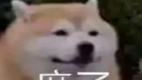 維納爾杜姆：全能足球巨星深度剖析