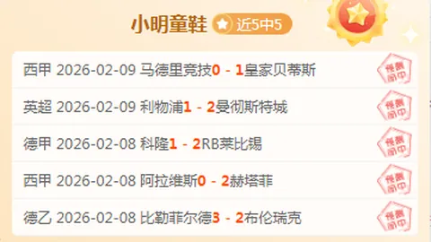 德国球迷看台上披萨菠萝牵手图引精神攻击风波